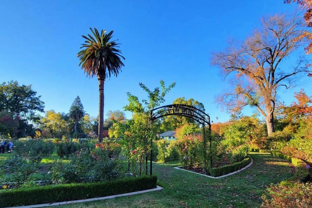 Artist'S Retreat Near The Heart Of The City Sacramento Bagian luar foto